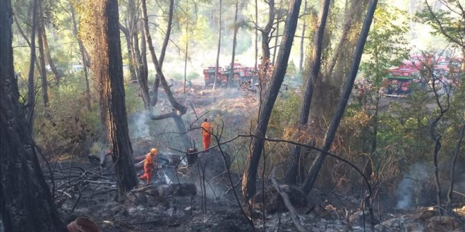 Antalya'da çıkan orman yangını havadan ve karadan müdahaleyle söndürüldü