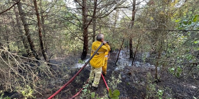 Uludağ'da çıkan orman yangını kontrol altına alındı