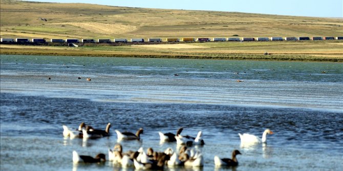 Gürcistan'a açılan Çıldır-Aktaş Gümrük Kapısında tır kuyruğu