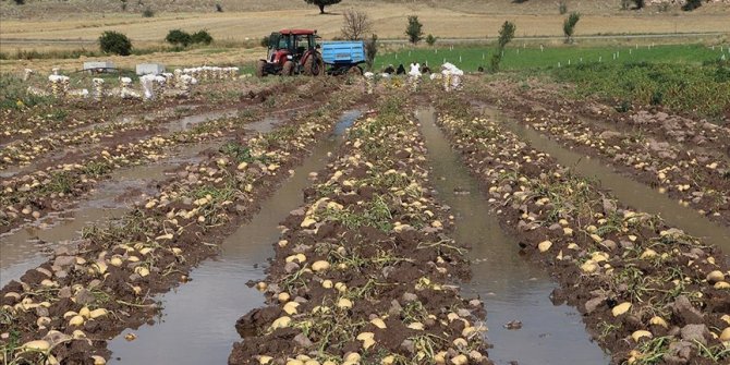 Afyonkarahisar'da sağanak bazı tarım arazilerine zarar verdi