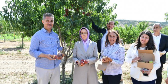 Şenlikler Eylül’de Devam Edecek