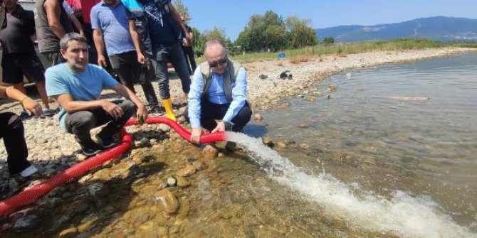 İznik Gölü'ne 1 milyon 43 bin sazan yavrusu salındı