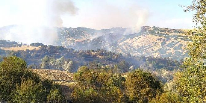 Tunceli'de örtü yangını