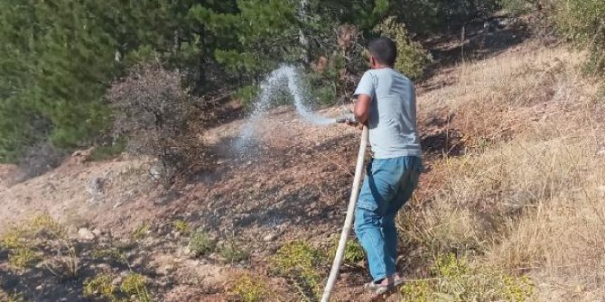 Elazığ’daki orman yangınında 20 dönüm alan zarar gördü