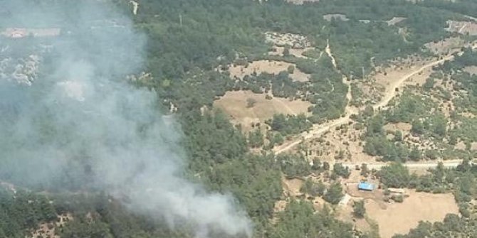 Balıkesir'deki çifte orman yangını söndürüldü