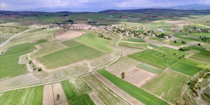 Tarımda üretici enflasyonu yüzde 156'ya çıktı