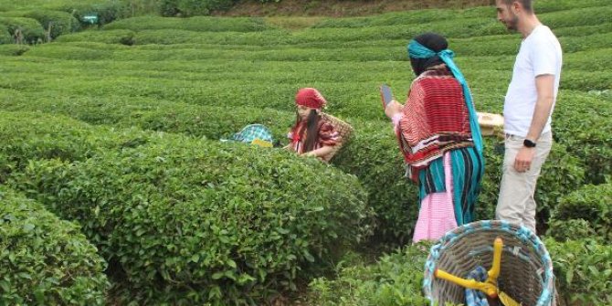 Rize’de 'çay turizmi' bereketi