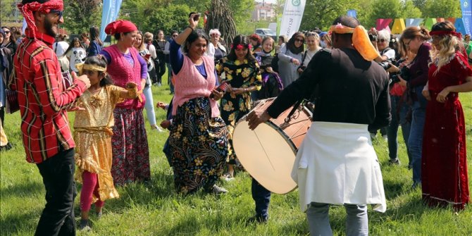 Roman vatandaşlara yönelik eylem planının hedefleri belirlendi