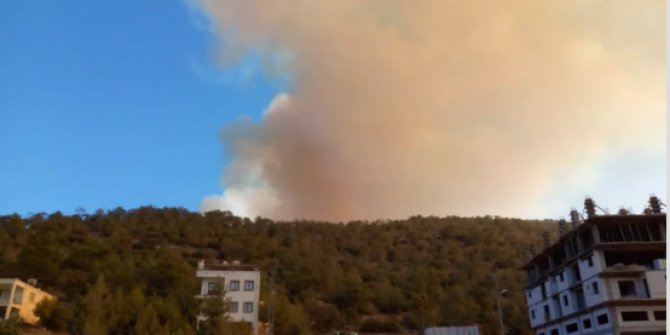 Mersin'de orman yangını: Havadan ve karadan müdahale için ekipler harekete geçti