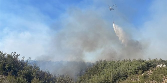 Mersin'de çıkan orman yangını kontrol altına alındı