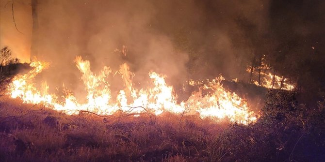 Denizli-Muğla sınırında çıkan orman yangını söndürüldü
