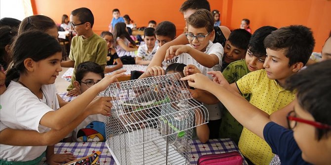 İlk dersin heyecanını öğretmenlerinin papağanı "Papi" ile yendiler