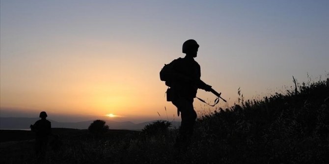 İkna çalışmaları sonucu 2 terörist teslim oldu