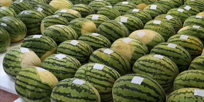 Karpuz Festivali 21 Eylül'de yapılacak