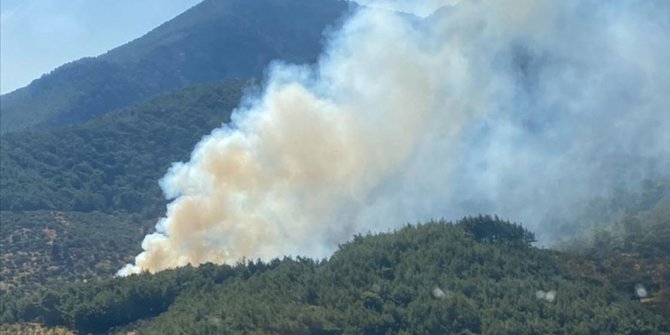 İzmir Kemalpaşa'daki orman yangını kontrol altına alındı