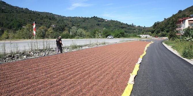 Giresun'da yeni yapılan kara yolu fındık harmanı oldu