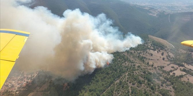 Balıkesir'de çıkan orman yangınına müdahale ediliyor