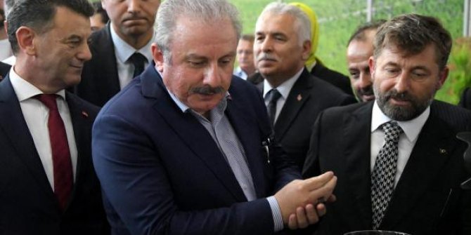 Şentop: Birlik ve dirliğimiz bozulursa, telafisi imkansız zararlar meydana gelecektir