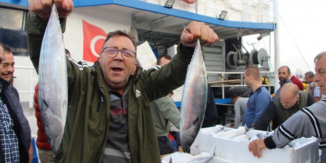 Bandırma Balık Hali'nde palamut bolluğu yaşanıyor