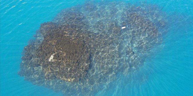 Van Gölü'nde 32,2 metre uzunluğunda mikrobiyalit görüntülendi