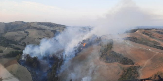 Adana'da çıkan orman yangını kontrol altına alındı
