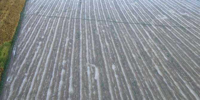 Tokat'ta sağanak ve dolu etkili oldu