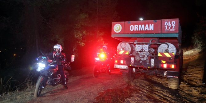 Muğla Ula'daki orman yangınıyla ilgili 1 kişi yakalandı