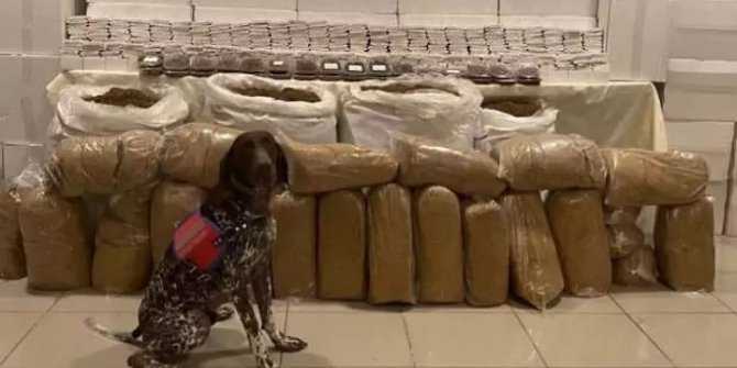 Kocaeli'de 2 milyon 30 bin makaron ele geçirildi