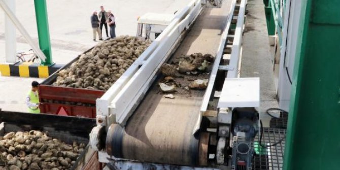Eskişehir'de şeker pancarları fabrikaya teslim edilmeye başladı