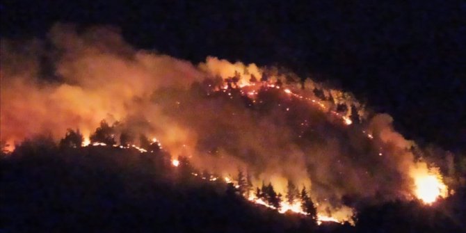 Uşak'ta ormanlık alanda çıkan yangın kontrol altına alındı