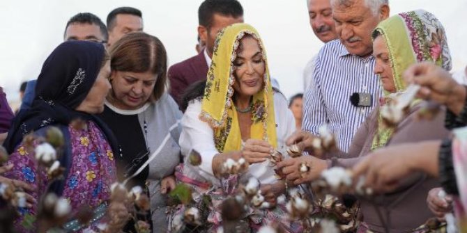 Türkan Şoray, adının verildiği pamuğun hasadına katıldı