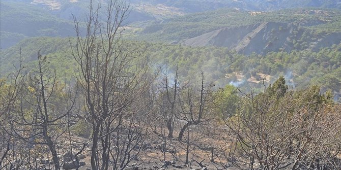 Adıyaman'da çıkan orman yangını kontrol altına alındı