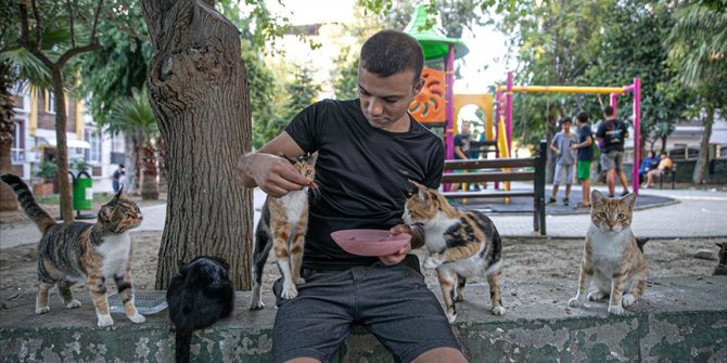 Genç hayvansever yaşadığı mahalledeki kedilere 'Umut' oldu