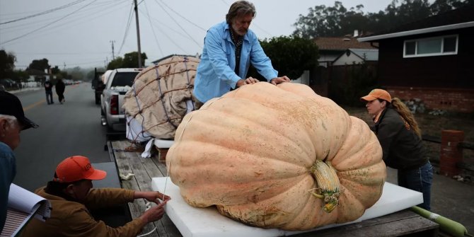 1 ton 161 kilo bal kabağı yetiştirerek rekor kırdı