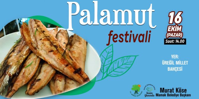 Palamut Festivali Başlıyor