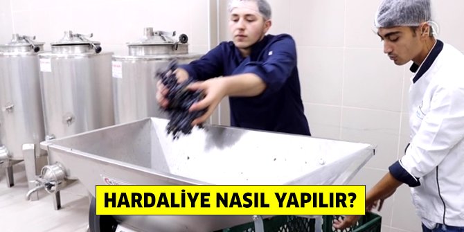 Hardaliye nedir, neden yapılır, nasıl yapılır? Hardaliye hangi yöreye ait?