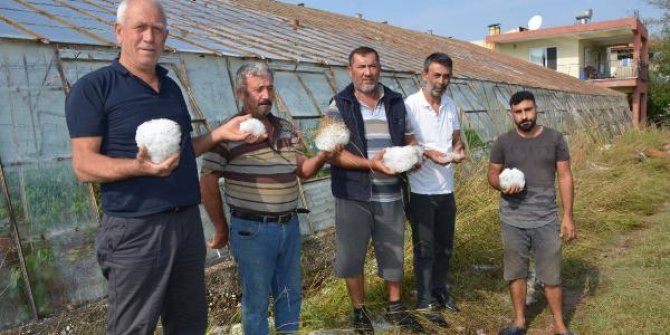 Serik'te dolu, tarım alanlarını vurdu