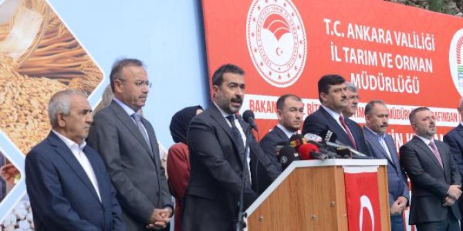 Ankara'da çiftçilere 250 ton tohum desteği