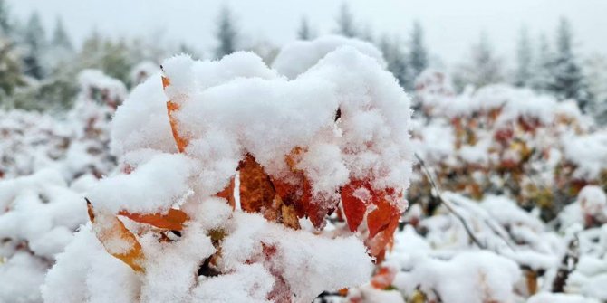 Yurdun yüksek kesimleri sonbaharda beyaza büründü