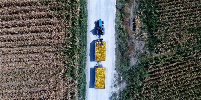 Yatırıma ve tarımsal üretime Hazine taşınmazı desteği