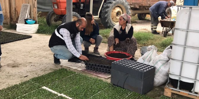 Köylü Kadınları Destekleme Projesi hayata geçiyor