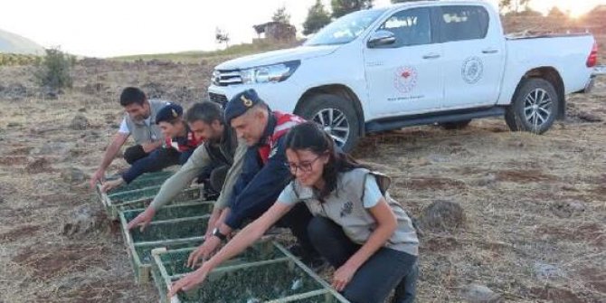 Yüzlerce saka kuşunu Suriye'ye kaçırmak isteyen şüpheliye rekor ceza