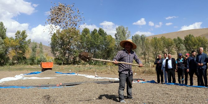 Soğuk iklime sahip Erzurum'da tarımsal üretim destek ve teşviklerle artıyor