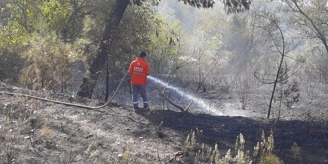 Osmaniye'de orman yangını: 50 dekar alan zarar gördü