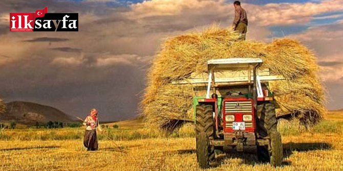 Bakan'ın açıkladığı Tarım Cebimde uygulaması nedir, nasıl indirilir?