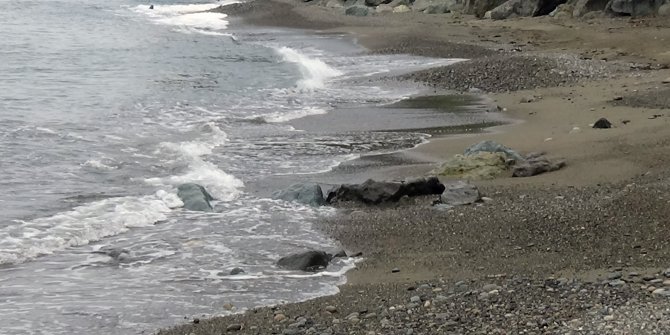 Karadeniz'e dolgu alanlarından kirlilik yayılıyor