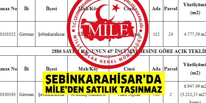 Şebinkarahisar Milli Emlak Şefliği'nden satılık ve kiralık taşınmaz