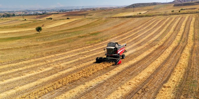 Altındağ’da çiftçiye verilen tohum ve nohut desteğinden sonra şimdi de mazot desteği verilecek