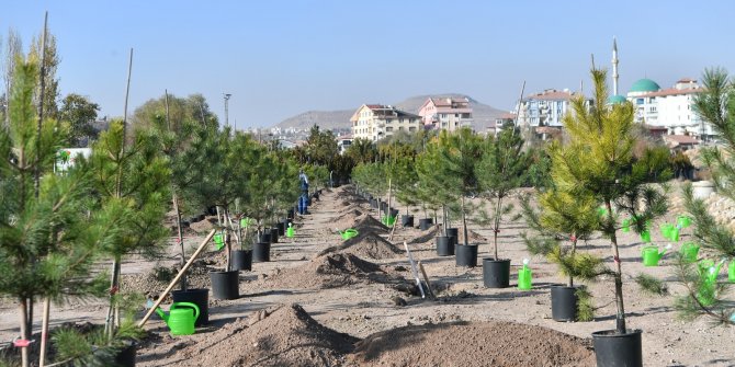 Milli Ağaçlandırma Günü’nde Şehitlerimiz için Vefa Ormanı Oluşturuldu