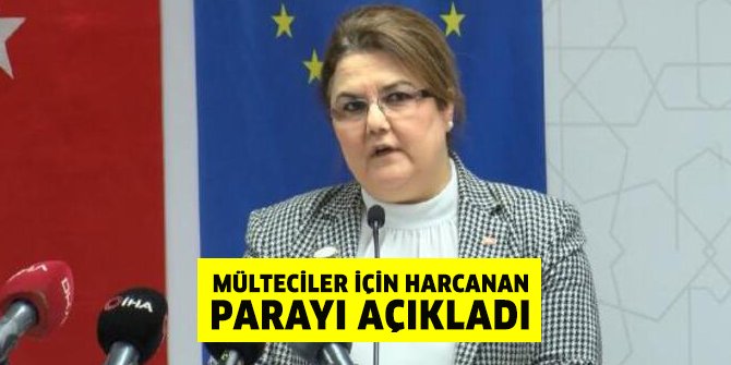 Bakan Suriyeliler için harcanan parayı ve Suriyeli öğrenci sayısını açıkladı